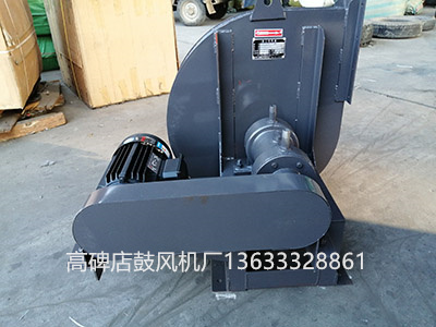 高壓風(fēng)機圖片4